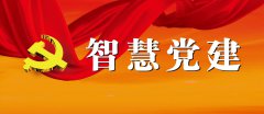 堅持問題導向，智慧黨建見實效