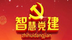 智慧黨建的發(fā)展成效有哪些？